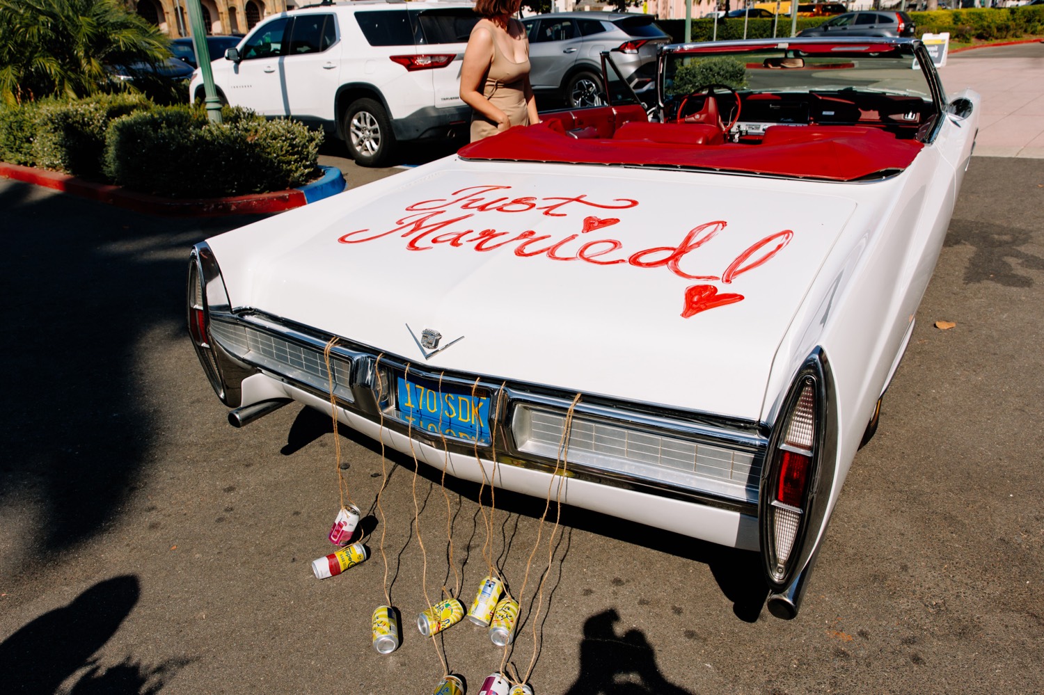 Just Married car decorations