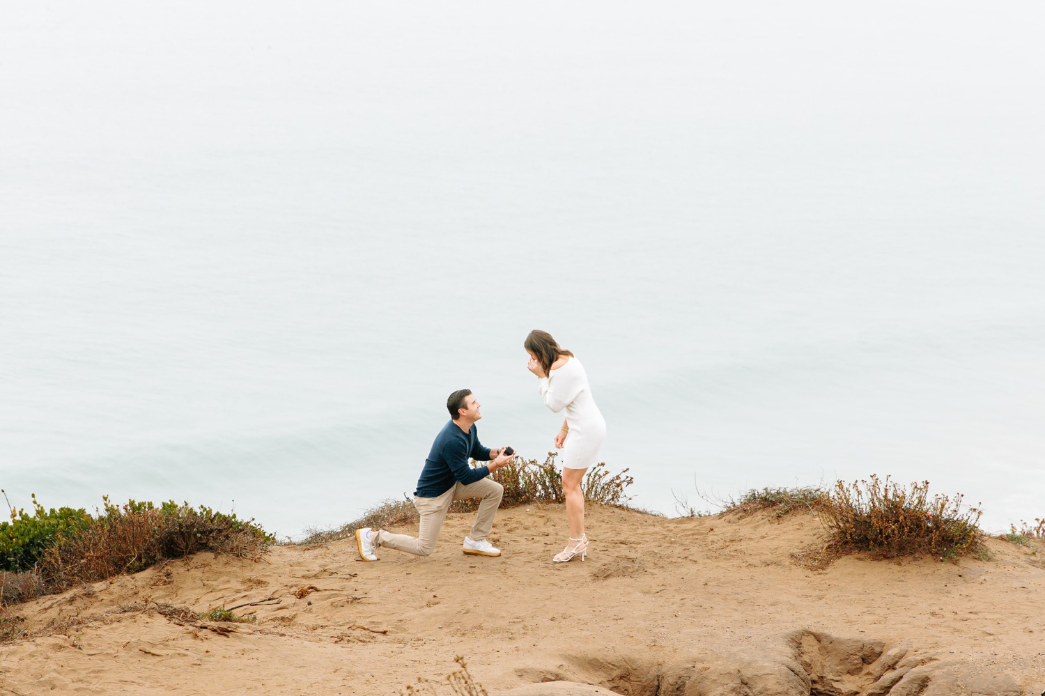 Point Dume Malibu Proposal