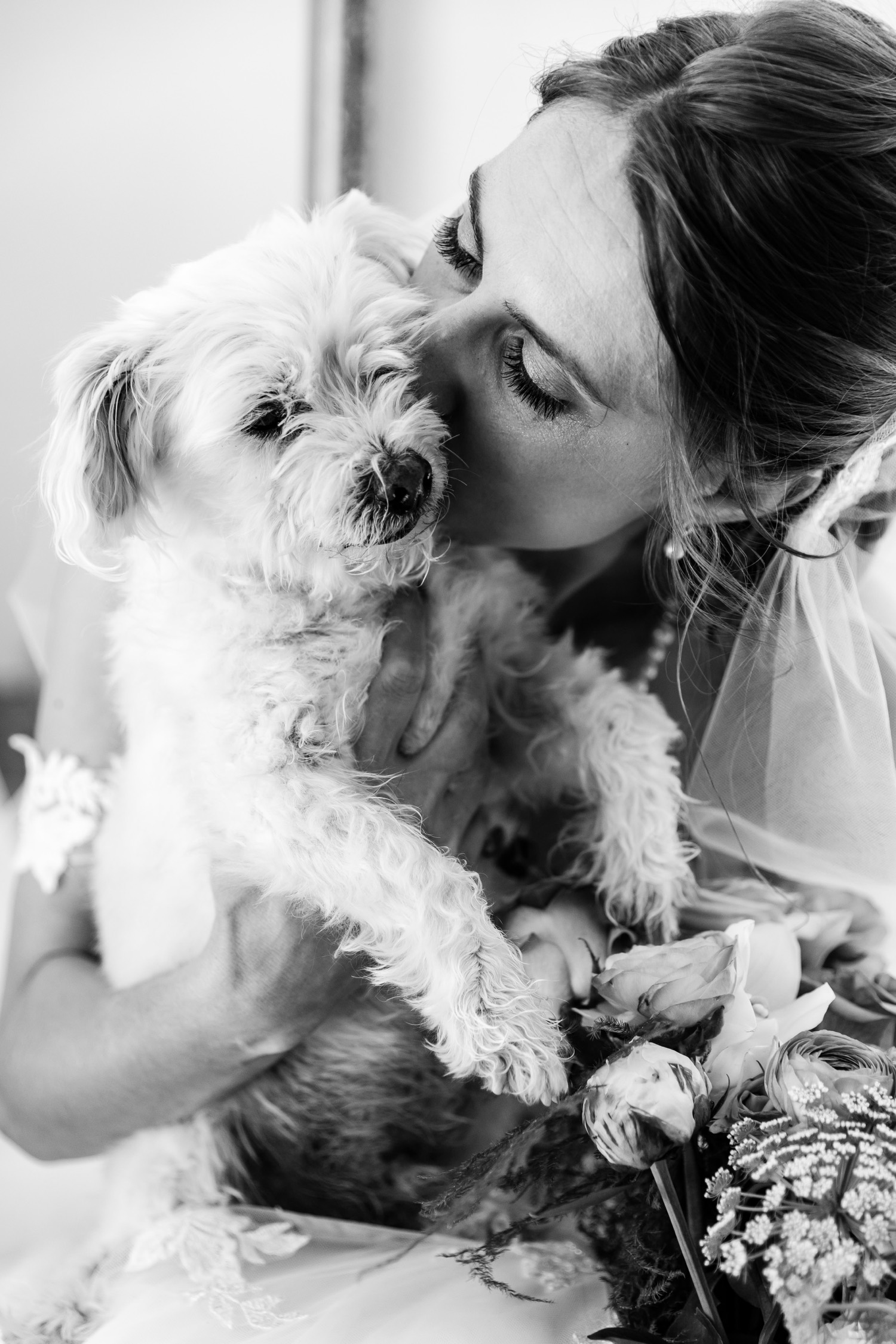 dog in wedding