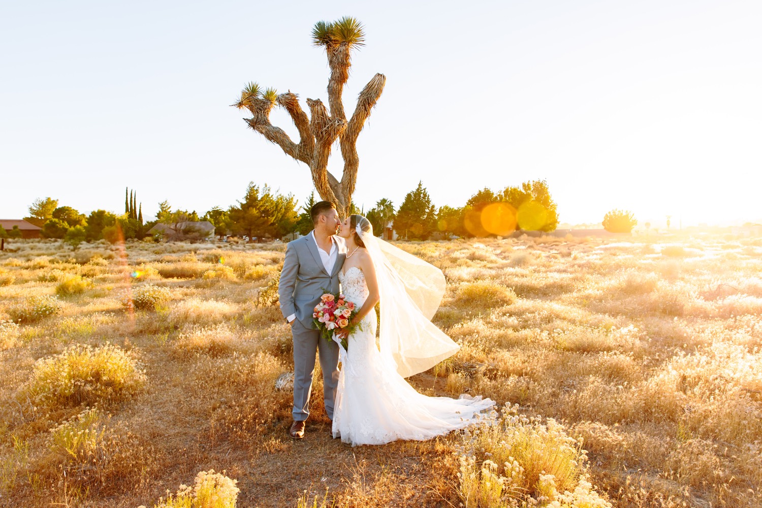 Joshua Tree wedding