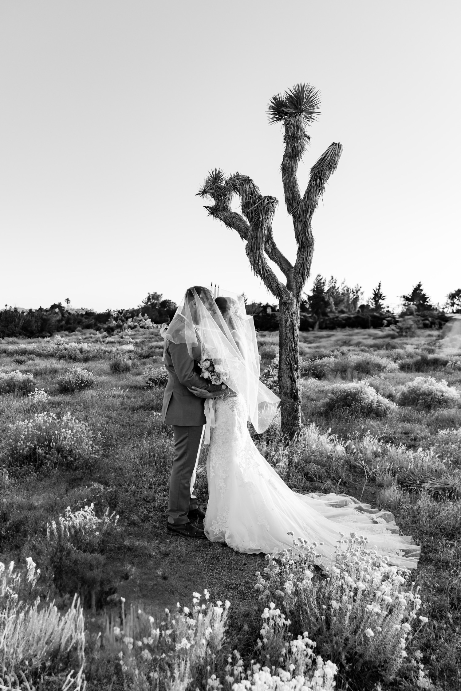 Joshua Tree wedding portraits