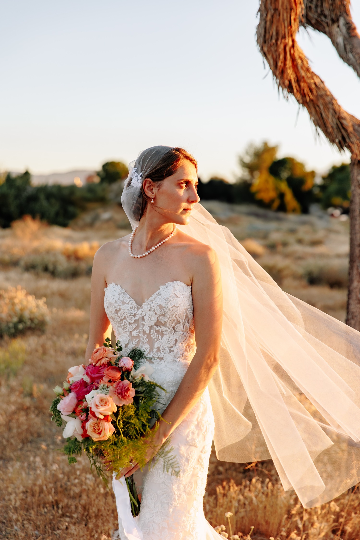 Joshua Tree wedding portraits