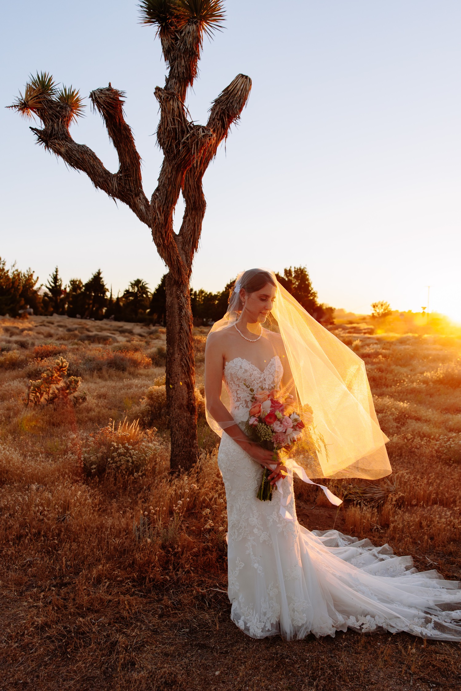 Joshua Tree wedding portraits