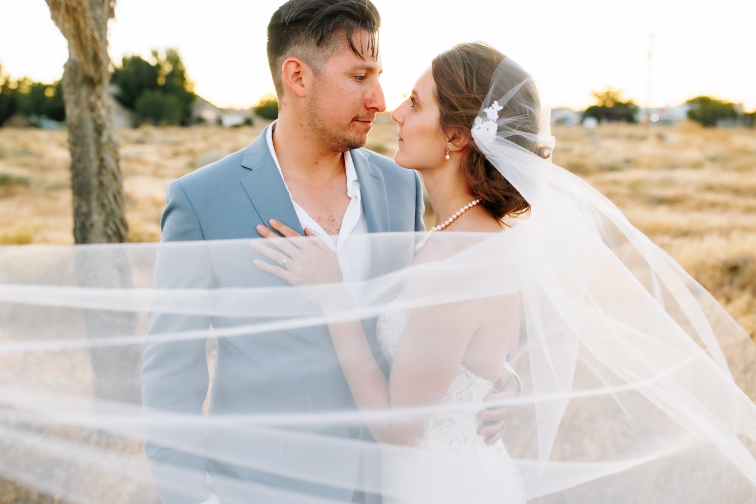 Joshua Tree wedding portraits