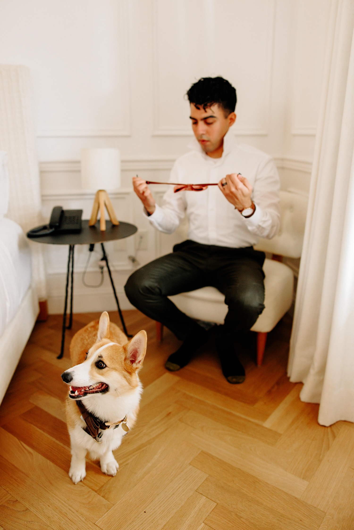 dog in wedding; dog ring bearer; dog flower girl