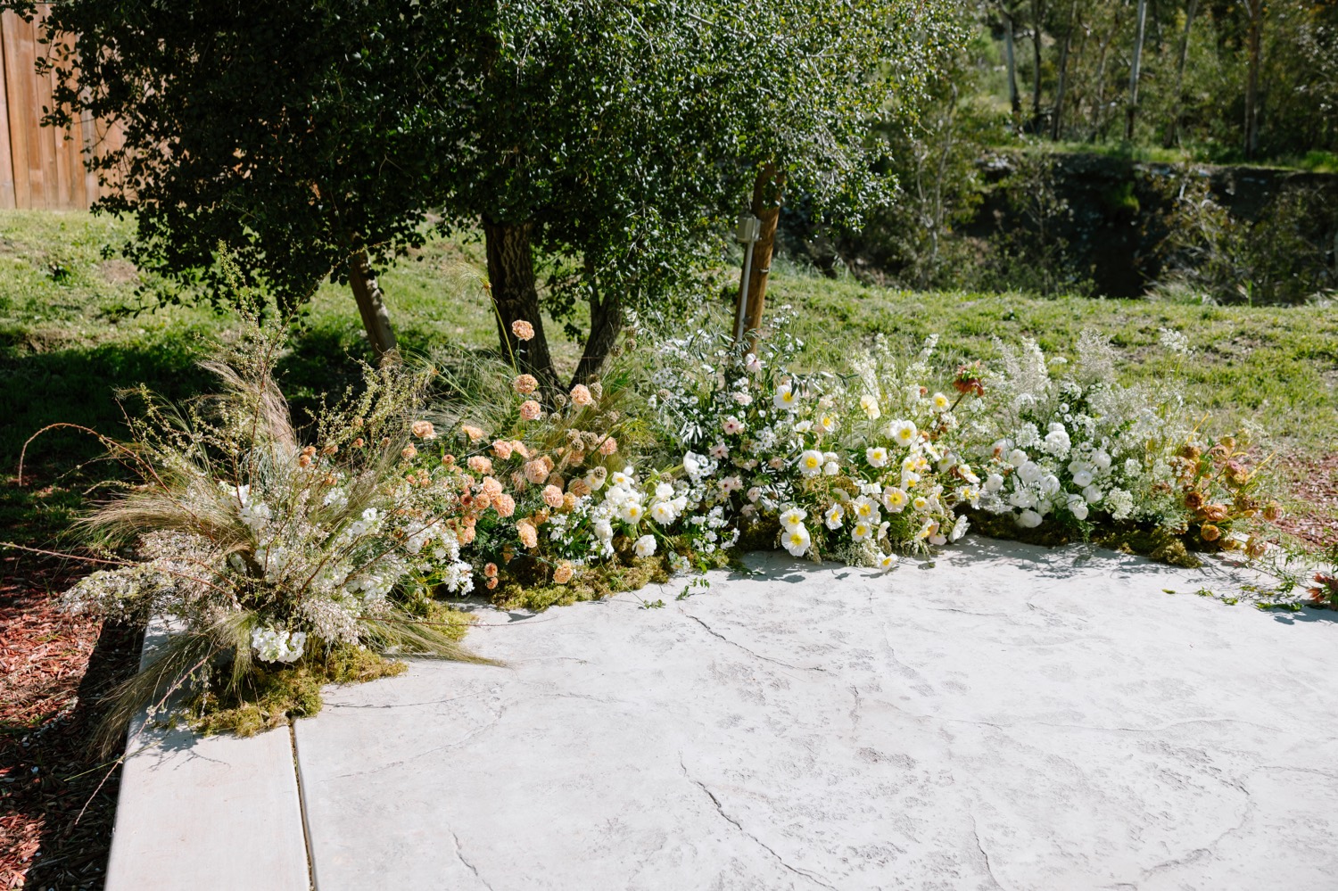 Reptacular Animals; Reptacular Ranch wedding