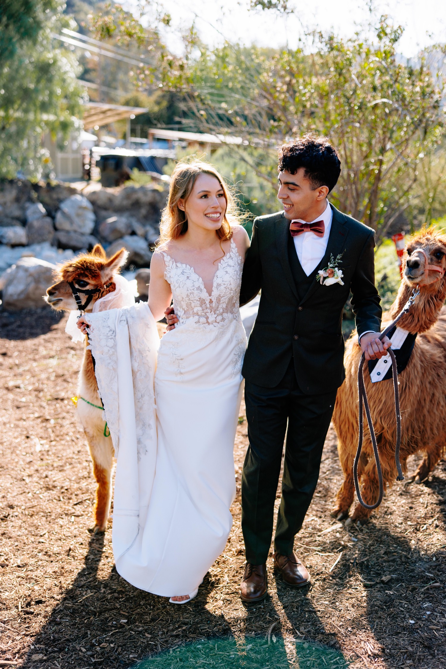 Reptacular Animals wedding