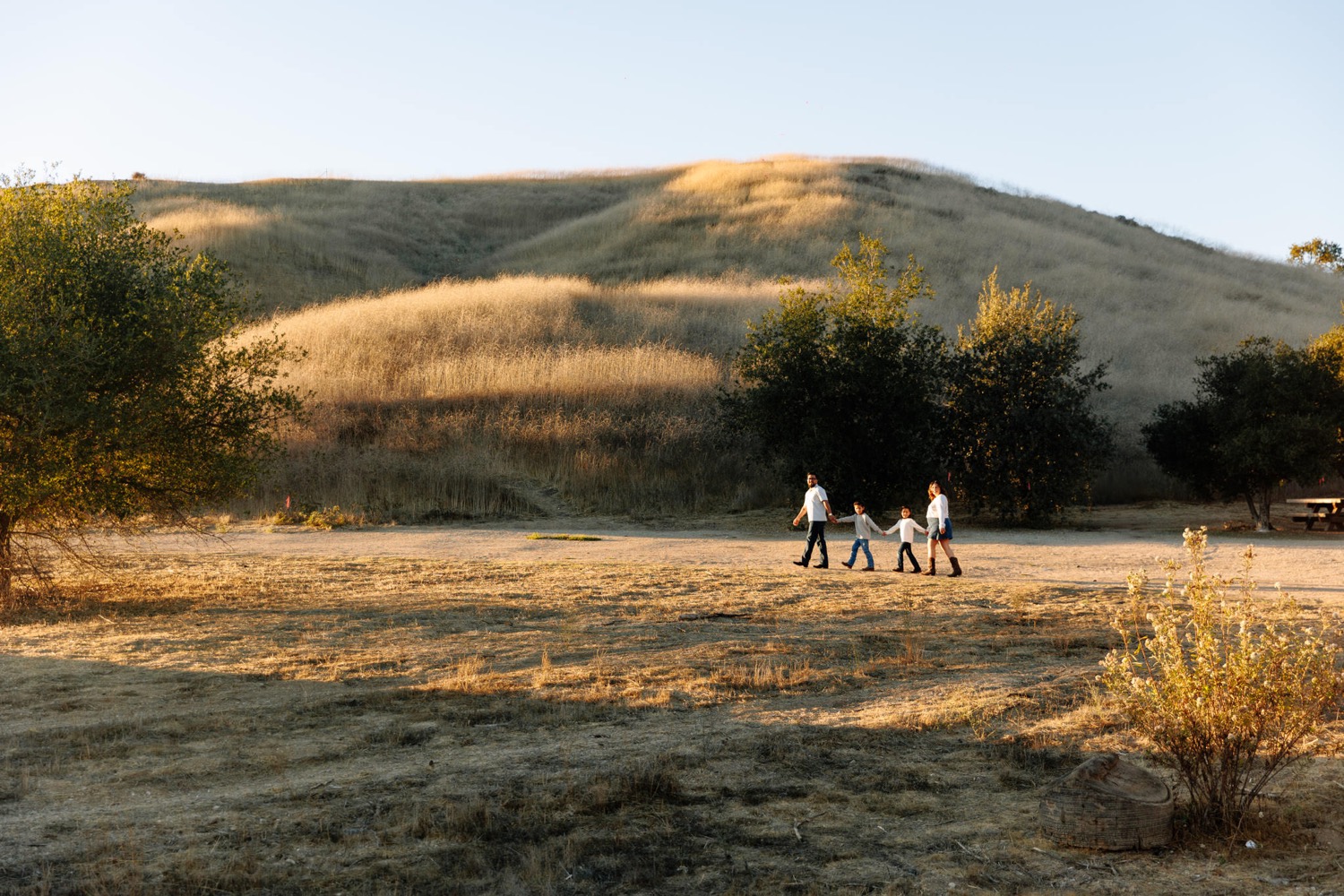 outdoor family maternity photoshoot 